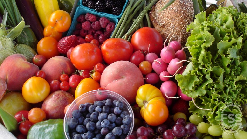 Food Products and Their Importance in Daily Life